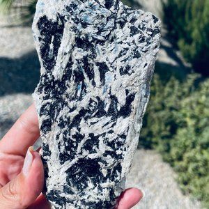Black/Blue Kayanite- The Healers Stone